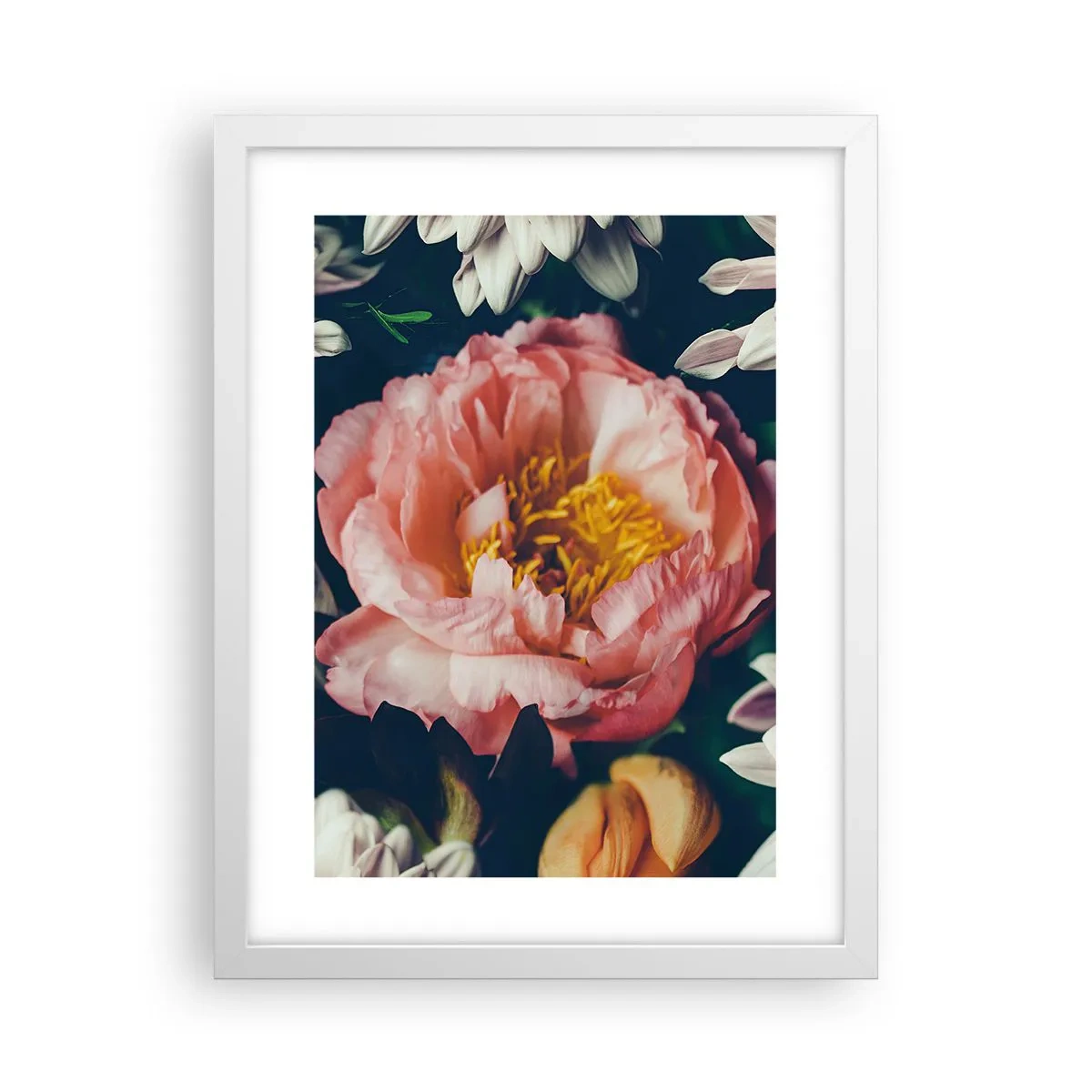 Affiche dans un cadre blanc - Poster - Splendeur baroque - 30x40 cm