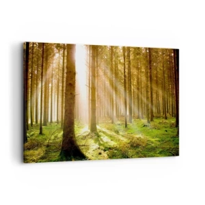 Impression sur toile - Image sur toile - Forêt de conifères avec les rayons du soleil qui brillent à travers les arbres - 120x80cm - Les elfes vont bientôt apparaître - Décoration murale moderne pour le salon et la chambre ARTTOR