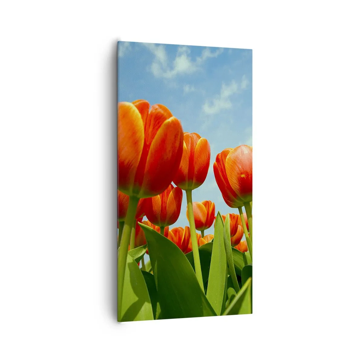 Impression sur toile - Image sur toile - A part le ciel bleu, ils n'ont besoin de rien dans leur vie - 65x120 cm