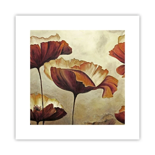 Affiche - Poster - À la lisière des champs - 30x30 cm