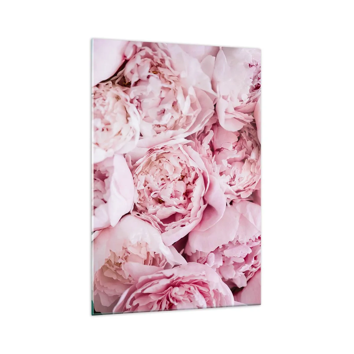 Impression sur verre - Image sur verre - Gros plan d'un bouquet de pivoines roses - 70x100cm - Caliné et parfumé - Décoration murale moderne pour le salon et la chambre ARTTOR