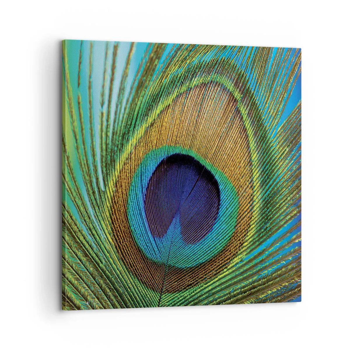 Impression sur toile - Image sur toile - Les yeux dans les yeux - 60x60 cm