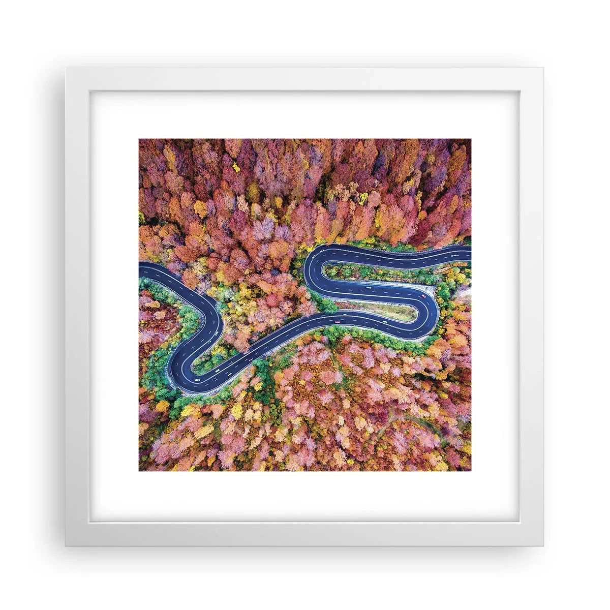 Affiche dans un cadre blanc - Poster - Route sinueuse à travers la forêt - 30x30 cm