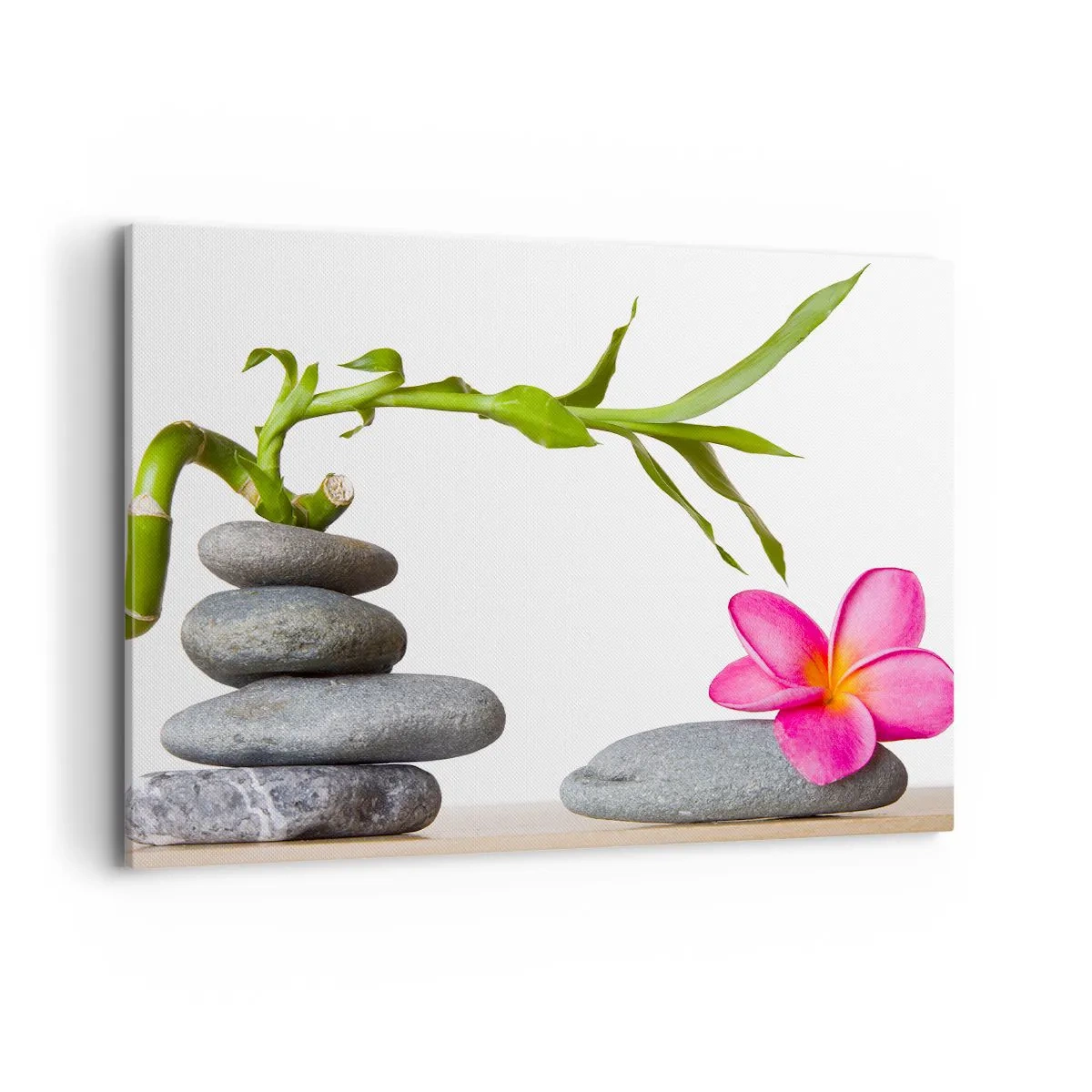 Impression sur toile - Image sur toile - Bambou et fleur rose sur pierres de style zen - 100x70cm - Couleurs de la vie et de la durée - Décoration murale moderne pour le salon et la chambre ARTTOR
