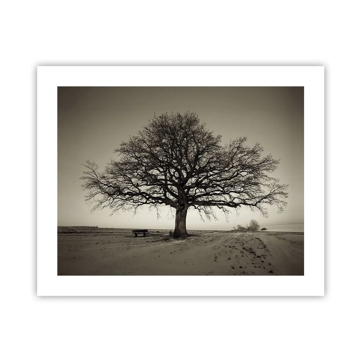 Affiche - Poster - D'ici à l'éternité - 50x40 cm