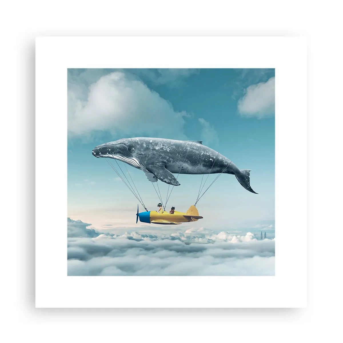 Affiche - Poster - Pourquoi pas? - 30x30 cm