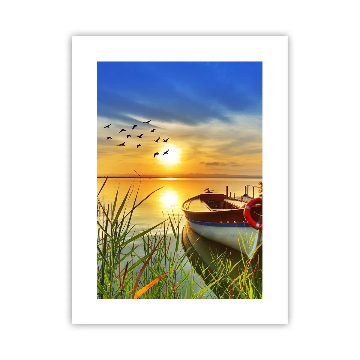 Affiche - Poster - Les cormorans s'envolent déjà - 30x40 cm