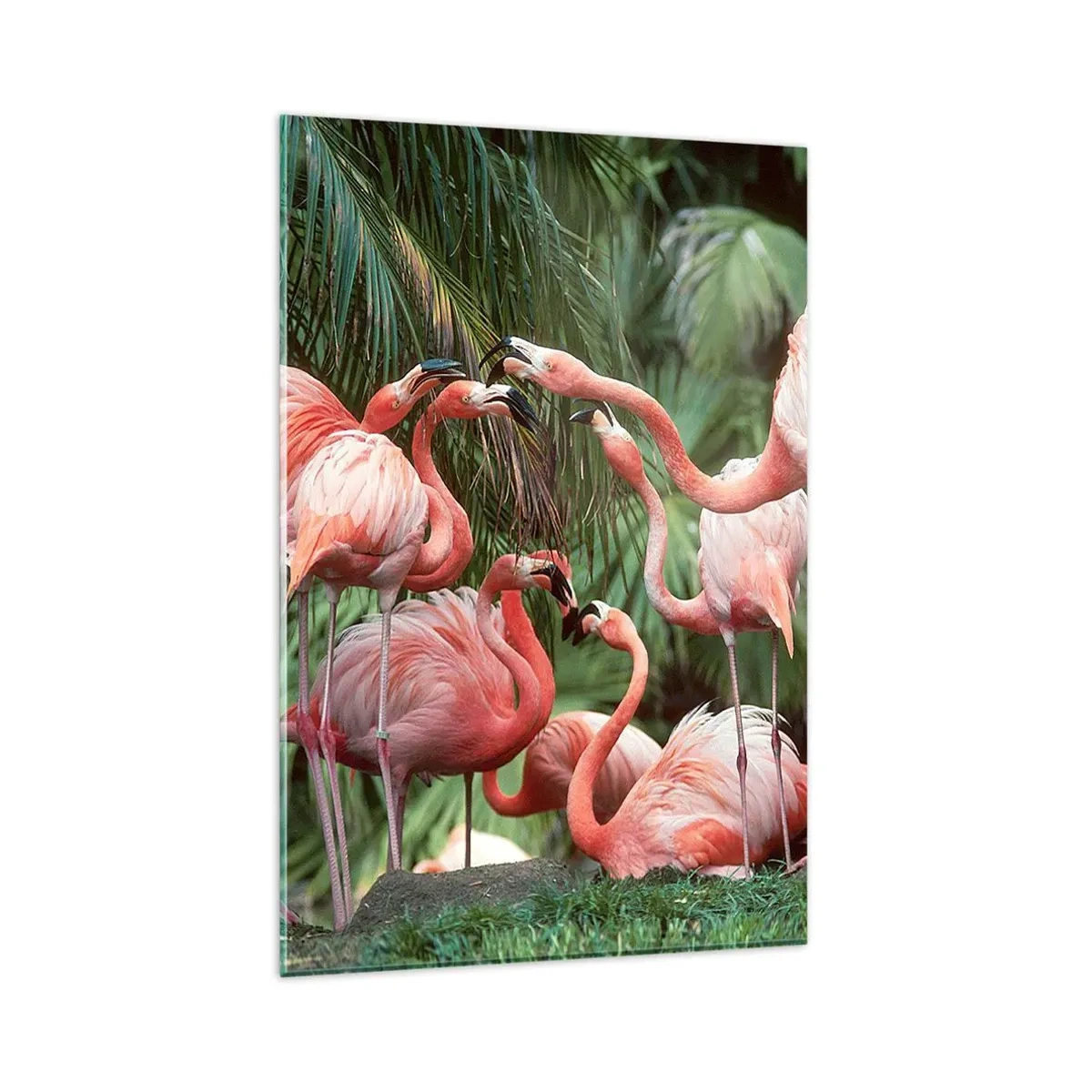 Impression sur verre - Image sur verre - Un groupe de flamants roses dans un cadre tropical entouré de palmiers - 80x120cm - Potins d'après-midi - Décoration murale moderne pour le salon et la chambre ARTTOR