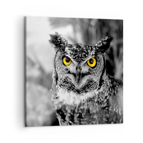 Impression sur toile - Image sur toile - Rien ne se cachera - 60x60 cm