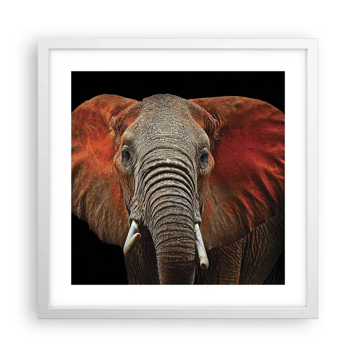 Affiche dans un cadre blanc - Poster - Je suis sauvage, et toi? - 40x40 cm