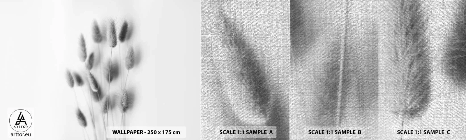 Échantillon de Papier Peint Premium Canvas - Son herbe duveteuse - Herbe, Noir et blanc, Fleurs - 100x30 cm