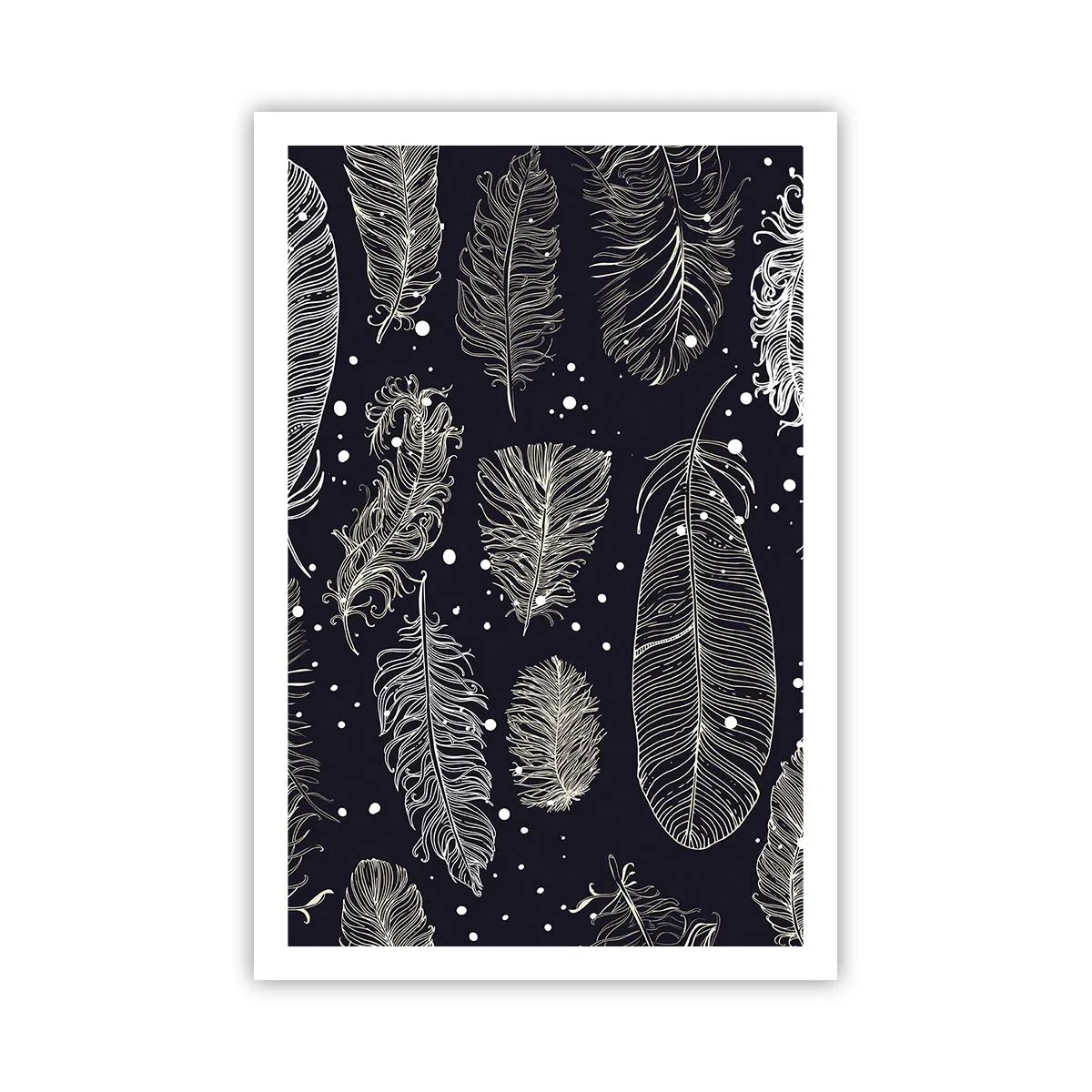 Affiche - Poster - Toile de plumes - 61x91 cm