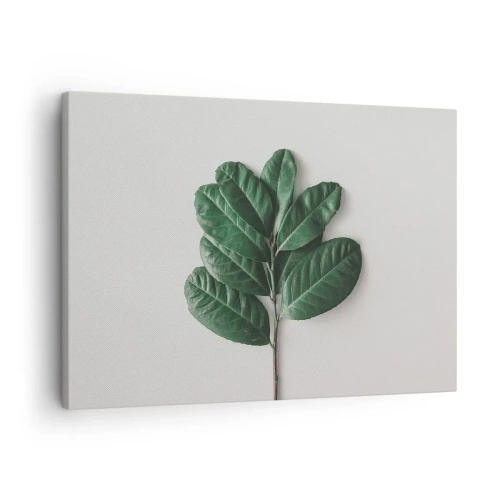 Impression sur toile - Image sur toile - Un brin de feuilles vertes sur un fond clair - 70x50cm - Dessin de la nature elle-même - Décoration murale moderne pour le salon et la chambre ARTTOR