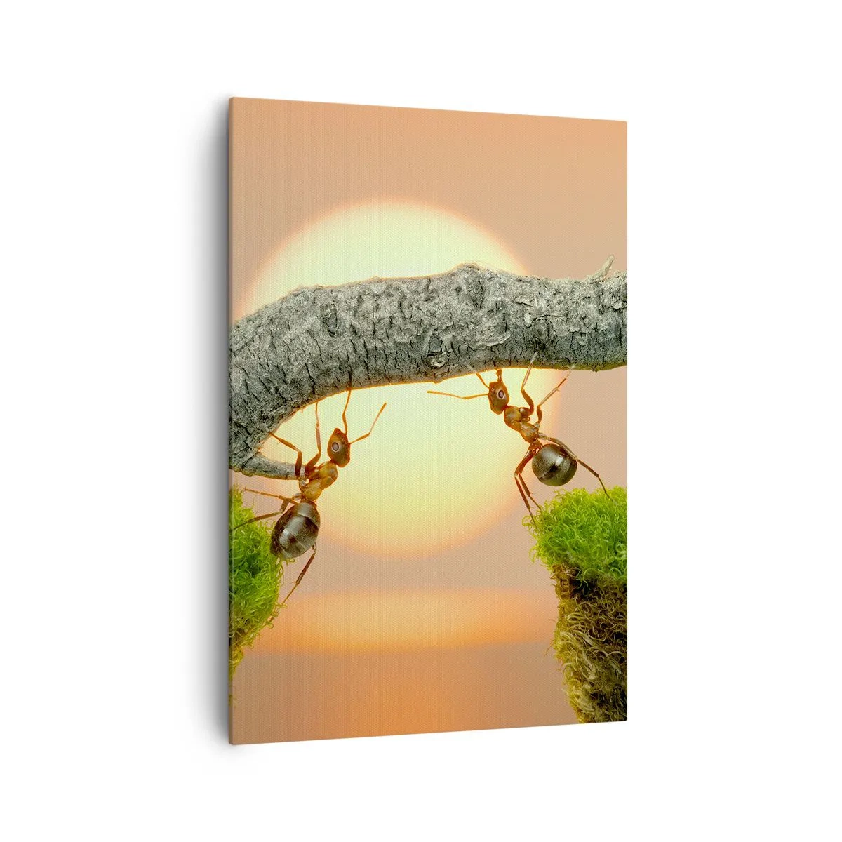 Impression sur toile - Image sur toile - Des fourmis construisent un pont de branches sur fond de soleil couchant. - 70x100cm - La joie, travaille d'équipe - Décoration murale moderne pour le salon et la chambre ARTTOR