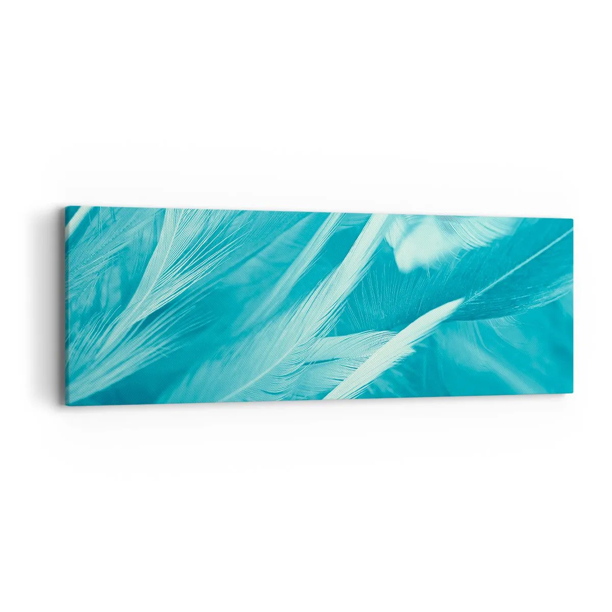 Impression sur toile - Image sur toile - Se noyer dans les plumes - 90x30 cm