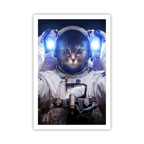 Affiche - Poster - Houston, vous avez un problème - 61x91 cm