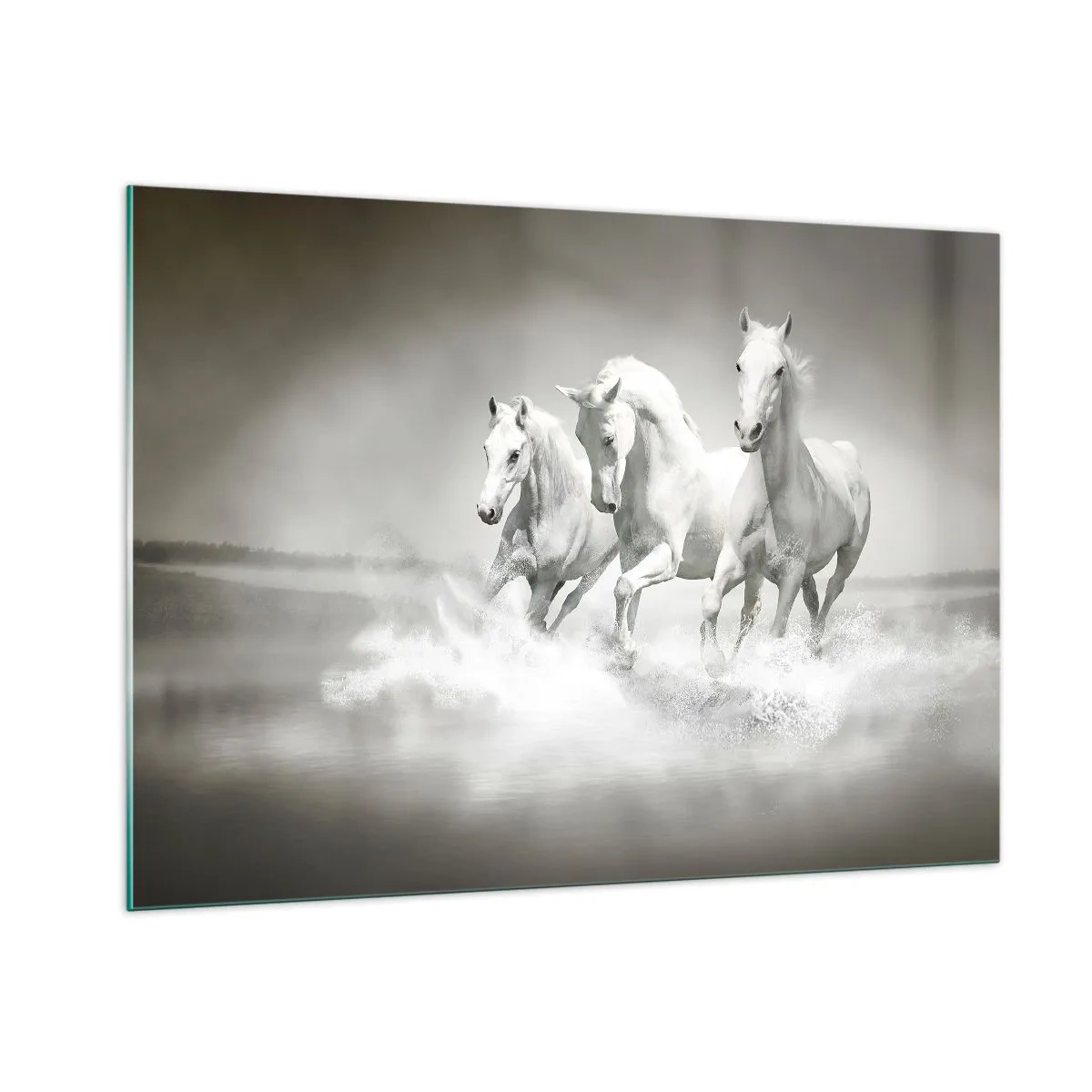 Impression sur verre - Image sur verre - Trois chevaux blancs galopant dans l'eau - 100x70cm - La folie blanche - Décoration murale moderne pour le salon et la chambre ARTTOR