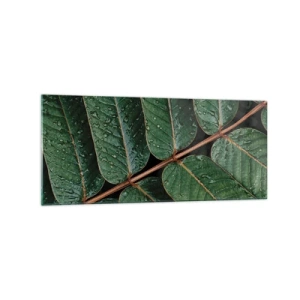 Impression sur verre - Image sur verre - Macro shot de feuilles vertes avec des gouttes de rosée - 120x50cm - Au rythme de la verdure - Décoration murale moderne pour le salon et la chambre ARTTOR