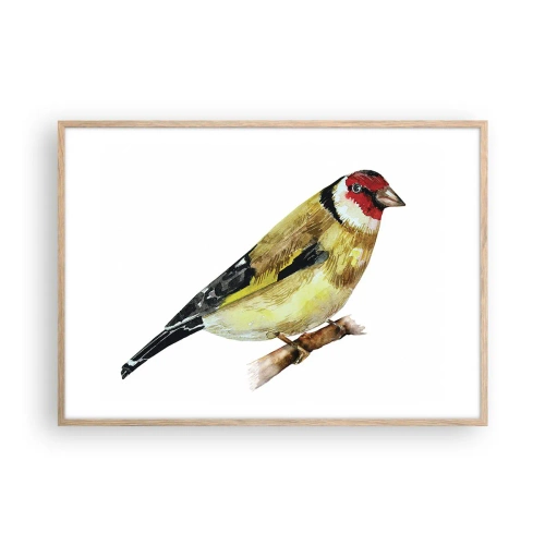 Affiche dans un chêne clair - Poster - Portrait d'oiseau - 100x70 cm