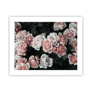 Affiche - Poster - Ensemble de rose - 50x40 cm
