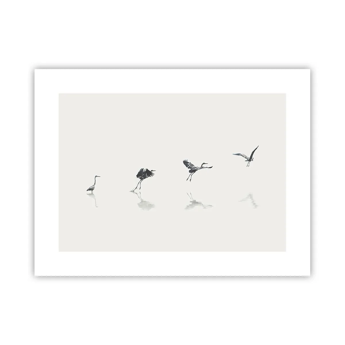 Affiche - Poster - Quatre étapes simples - 40x30 cm