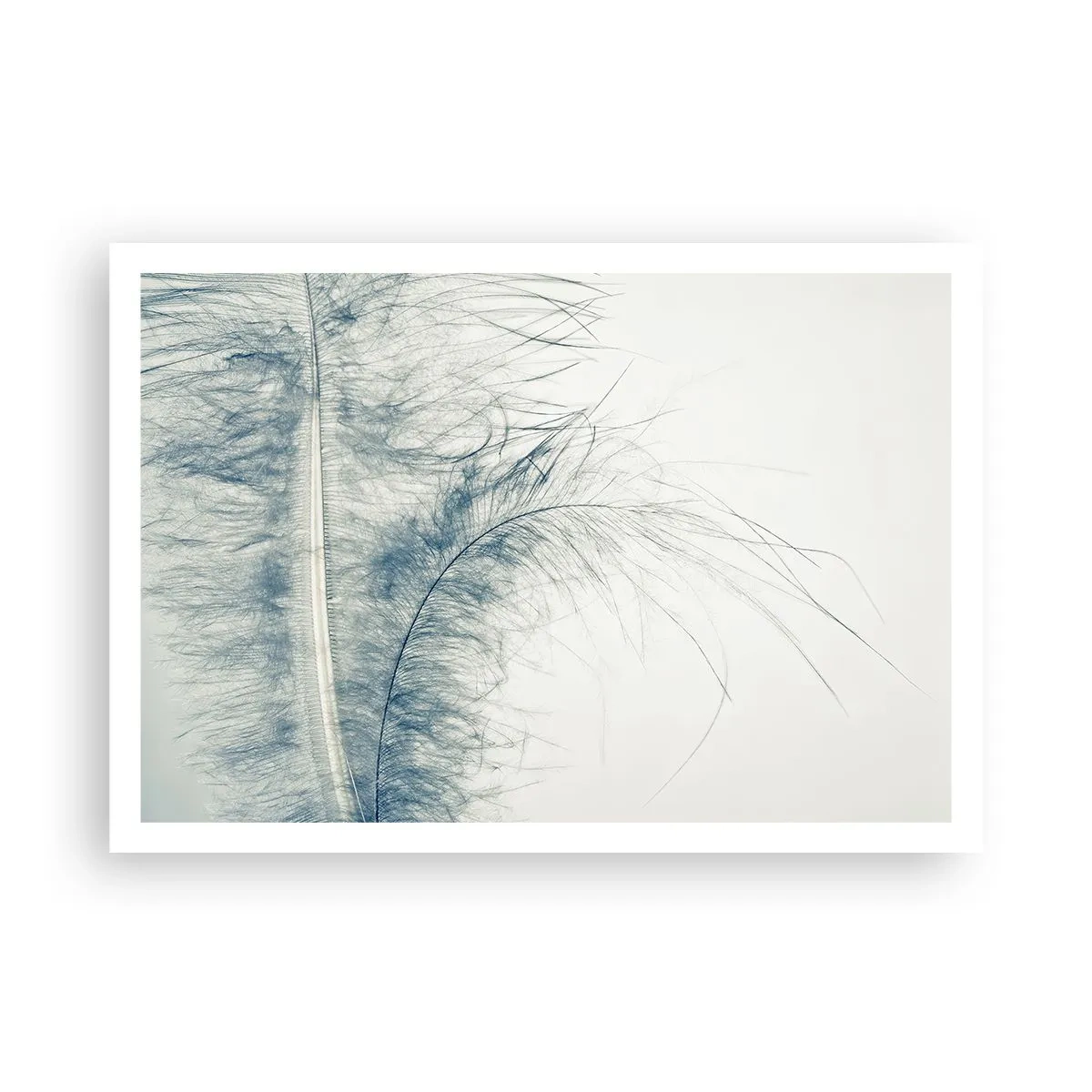 Affiche - Poster - Une plume délicate aux tons pastel sur fond clair - 100x70cm - Les sept natures - Décoration murale moderne pour le salon et la chambre ARTTOR