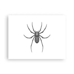 Affiche - Poster - Une précision troublante - 40x30 cm