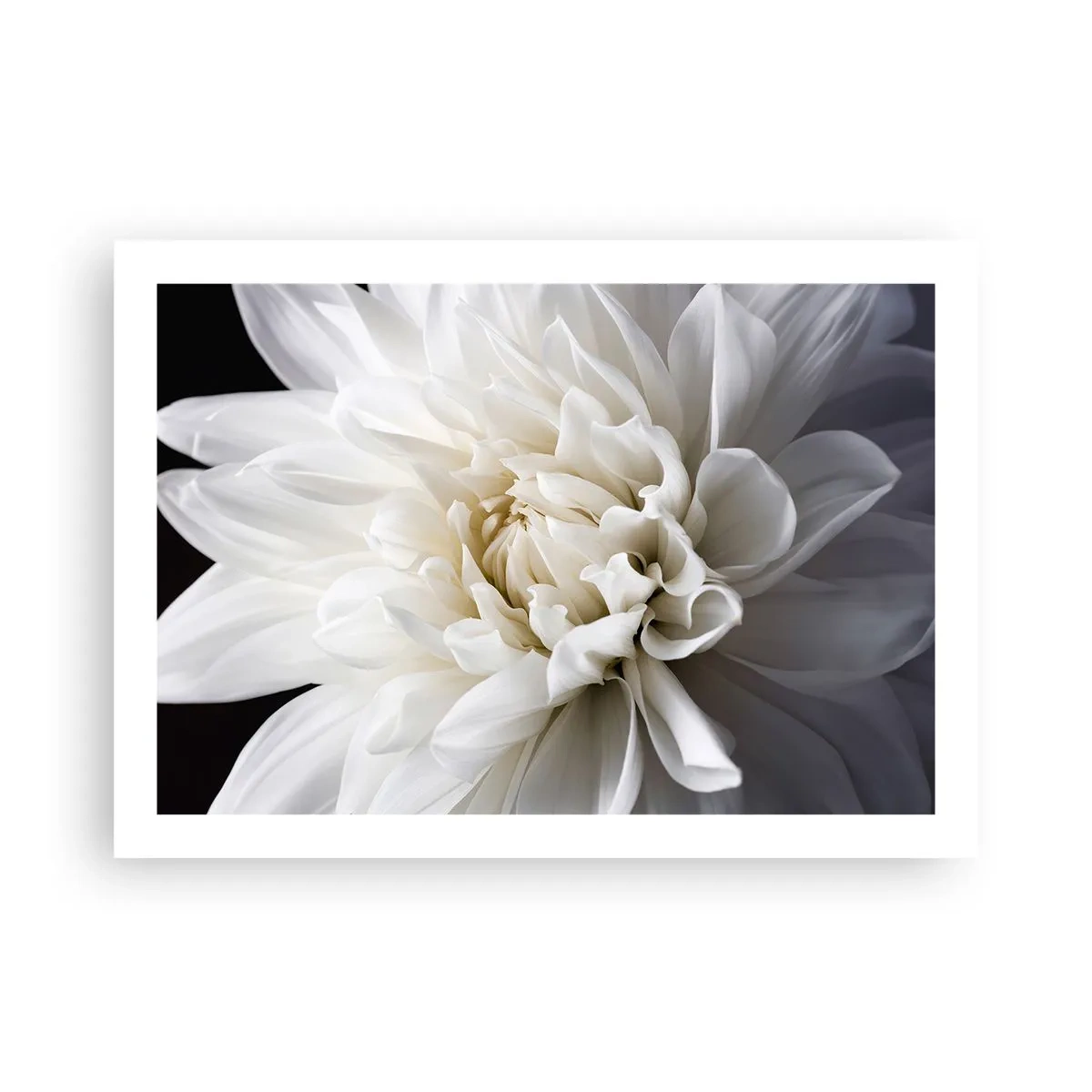 Affiche - Poster - Le matin de la jeune mariéé - 70x50 cm