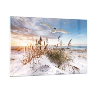 Impression sur verre - Image sur verre - Un oiseau survolant les dunes au coucher du soleil - 120x80cm - Vent de mer - Décoration murale moderne pour le salon et la chambre ARTTOR