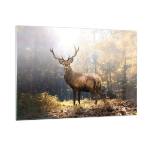 Impression sur verre - Image sur verre - Un cerf majestueux dans une forêt d'automne ensoleillée - 120x80cm - Toute sa majesté - Décoration murale moderne pour le salon et la chambre ARTTOR