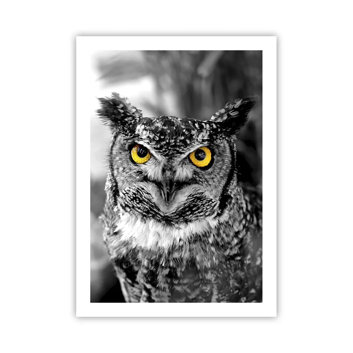 Affiche - Poster - Un hibou aux yeux jaunes sur fond noir et blanc - 50x70cm - Rien ne se cachera - Décoration murale moderne pour le salon et la chambre ARTTOR