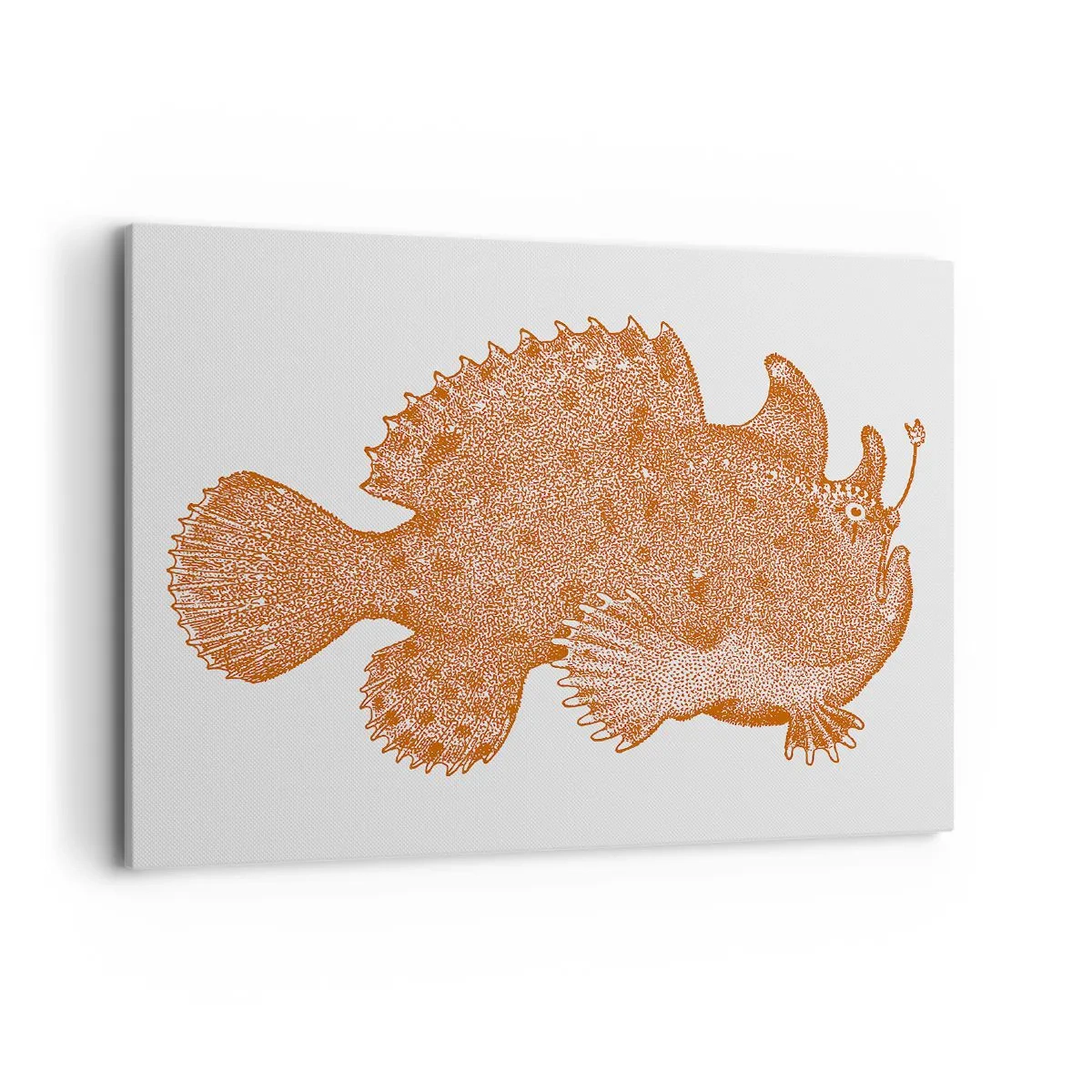 Impression sur toile - Image sur toile - Dessin détaillé d'un poisson cuivré sur fond blanc - 100x70cm - Et pourtant un poisson - Décoration murale moderne pour le salon et la chambre ARTTOR