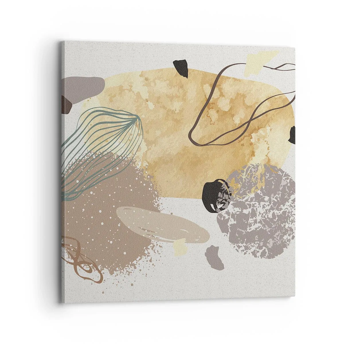 Impression sur toile - Image sur toile - Plumcologie appliquée - 70x70 cm