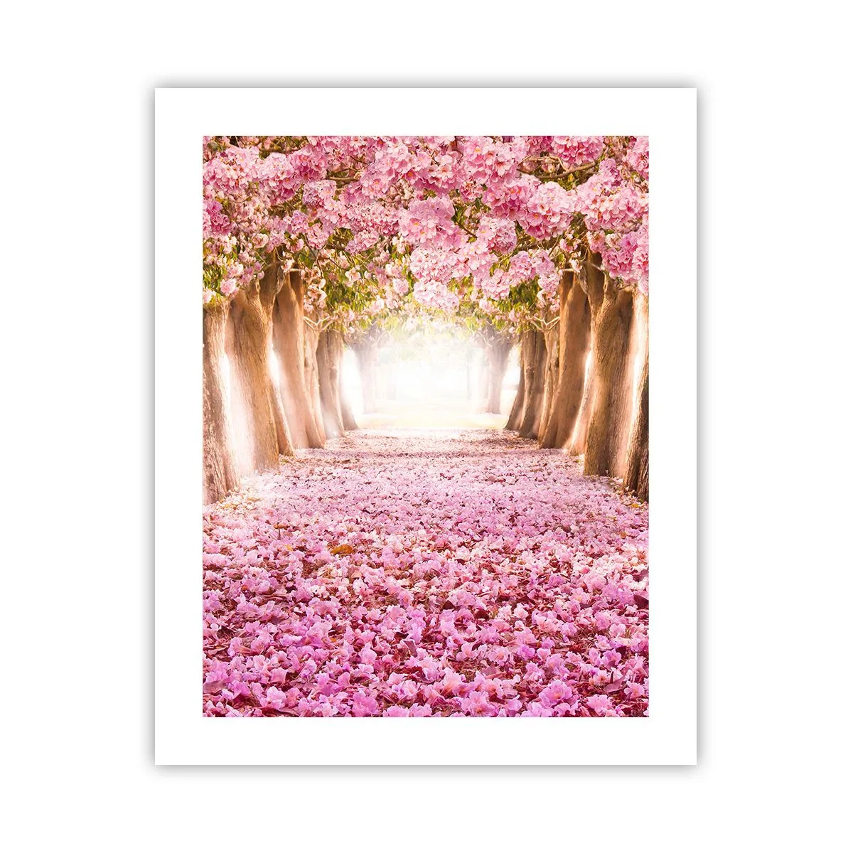 Affiche - Poster - La route du paradis - 40x50 cm