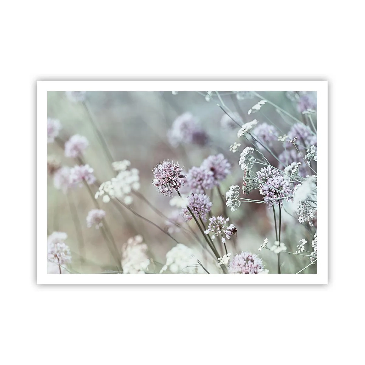 Affiche - Poster - Fleurs délicates aux tons pastel - 100x70cm - Herbes douces en filigrane - Décoration murale moderne pour le salon et la chambre ARTTOR