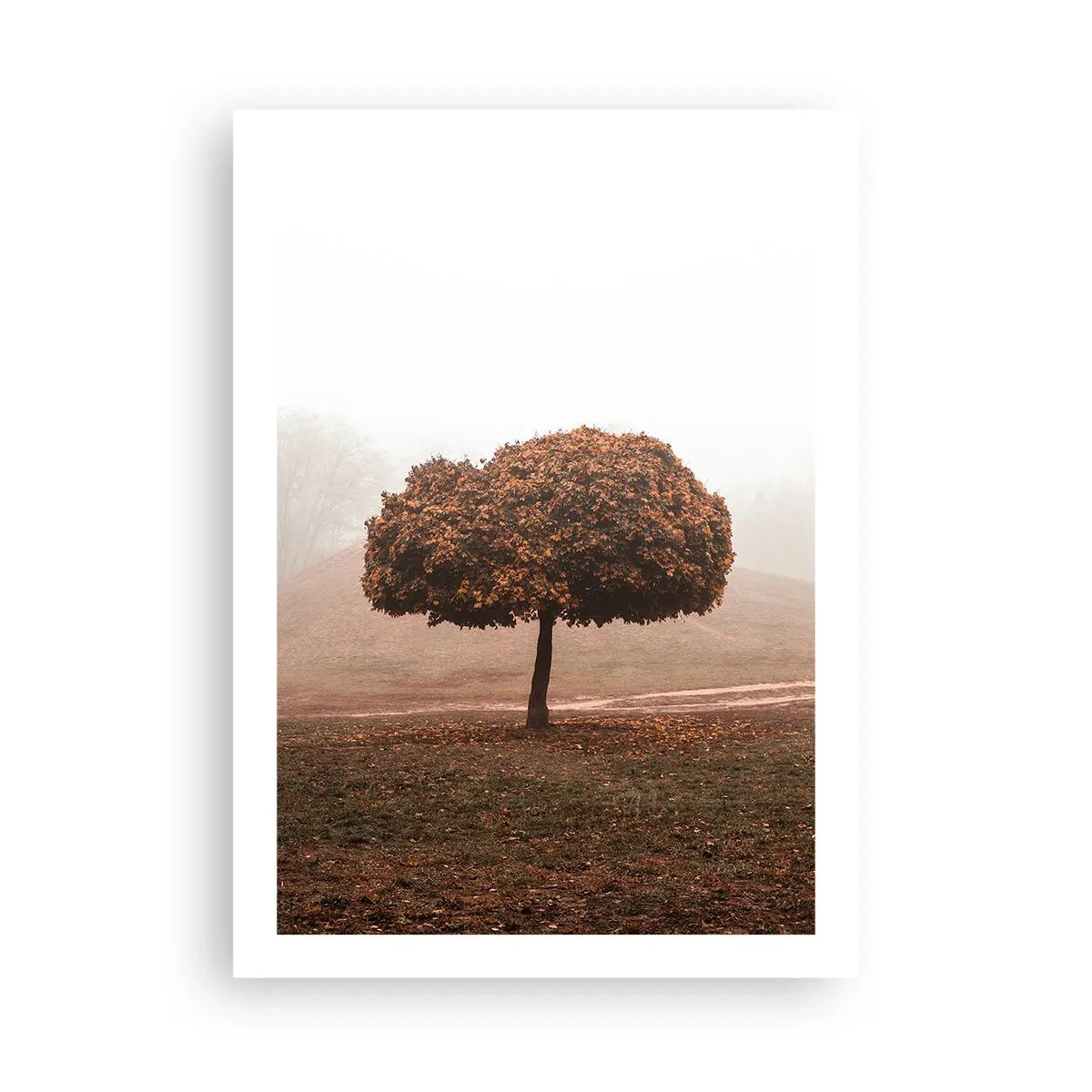 Affiche - Poster - Un arbre solitaire dans le brouillard d'automne - 50x70cm - Après un été chargé - Décoration murale moderne pour le salon et la chambre ARTTOR