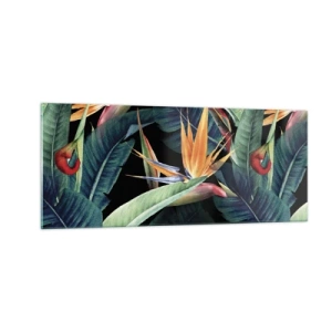 Impression sur verre - Image sur verre - Fleurs flamboyantes des tropiques - 100x40 cm