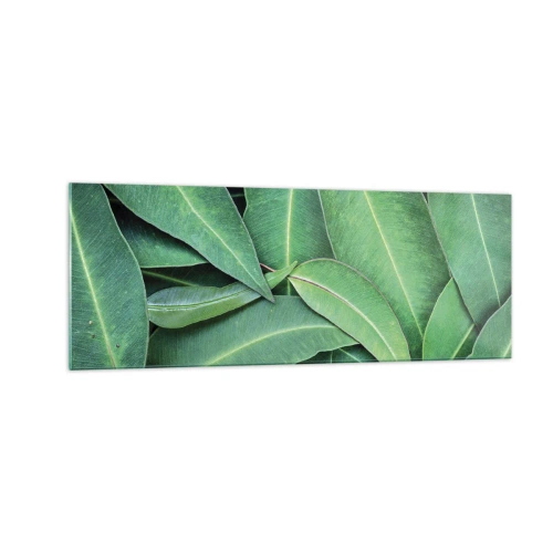 Impression sur verre - Image sur verre - Gros plan de feuilles vertes créant un motif naturel - 140x50cm - Juteux et frais - Décoration murale moderne pour le salon et la chambre ARTTOR