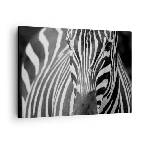 Impression sur toile - Image sur toile - Gros plan noir et blanc d'un zèbre avec ses rayures distinctives. - 70x50cm - Le monde est noir et blanc - Décoration murale moderne pour le salon et la chambre ARTTOR
