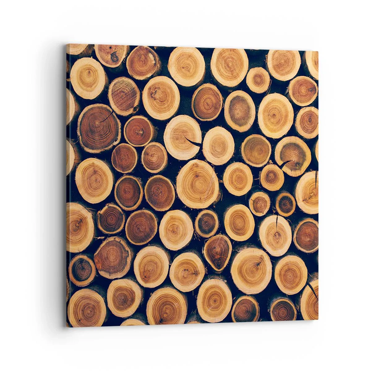 Impression sur toile - Image sur toile - Quel âge je semble avoir ? - 70x70 cm