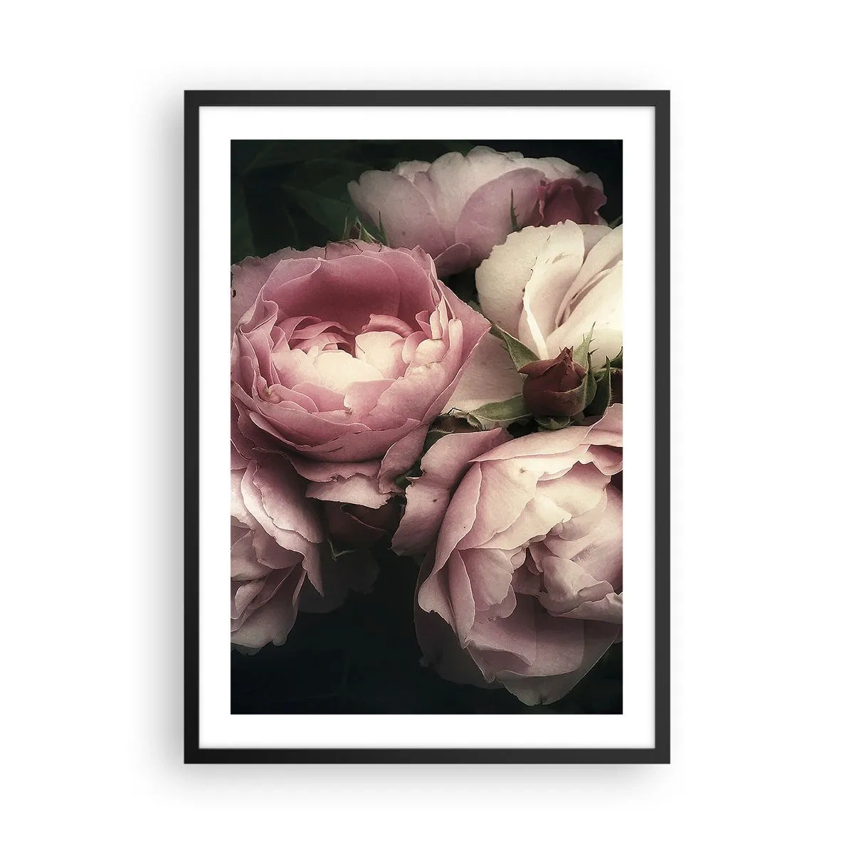 Affiche dans un cadre noir - Poster - Pivoines roses dans un arrangement élégant et classique - 50x70cm - Le charme de la belle époque - Décoration murale moderne pour le salon et la chambre ARTTOR