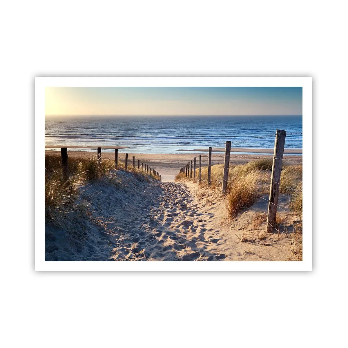 Affiche - Poster - Chemin à travers les dunes menant à la plage - 100x70cm - Le bruit de la mer, le chant des oiseaux, une plage sauvage parmi les herbes… - Décoration murale moderne pour le salon et la chambre ARTTOR