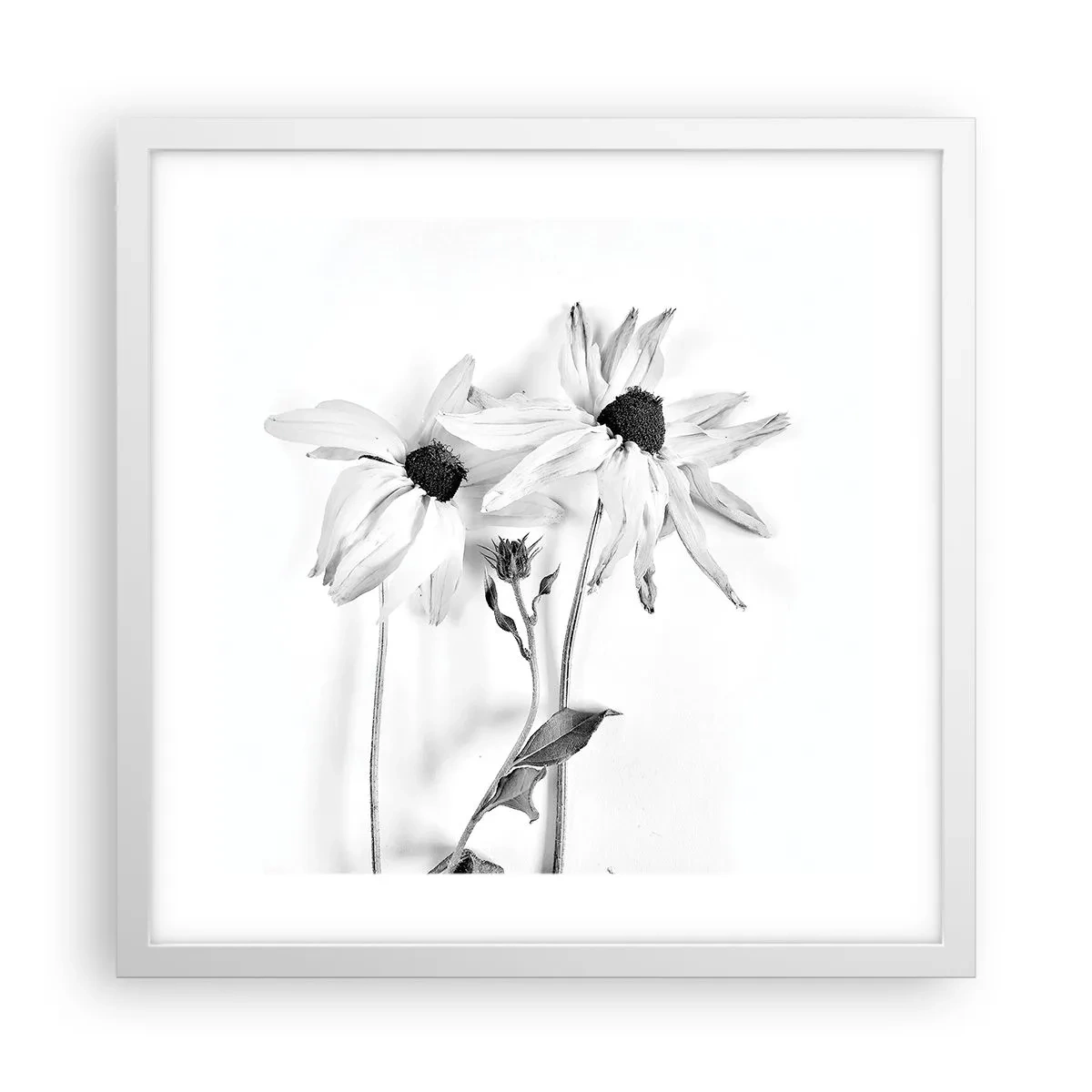 Affiche dans un cadre blanc - Poster - Personne ne souhaite être seul - 40x40 cm