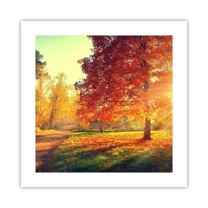 Affiche - Poster - Le roux est beau - 40x40 cm