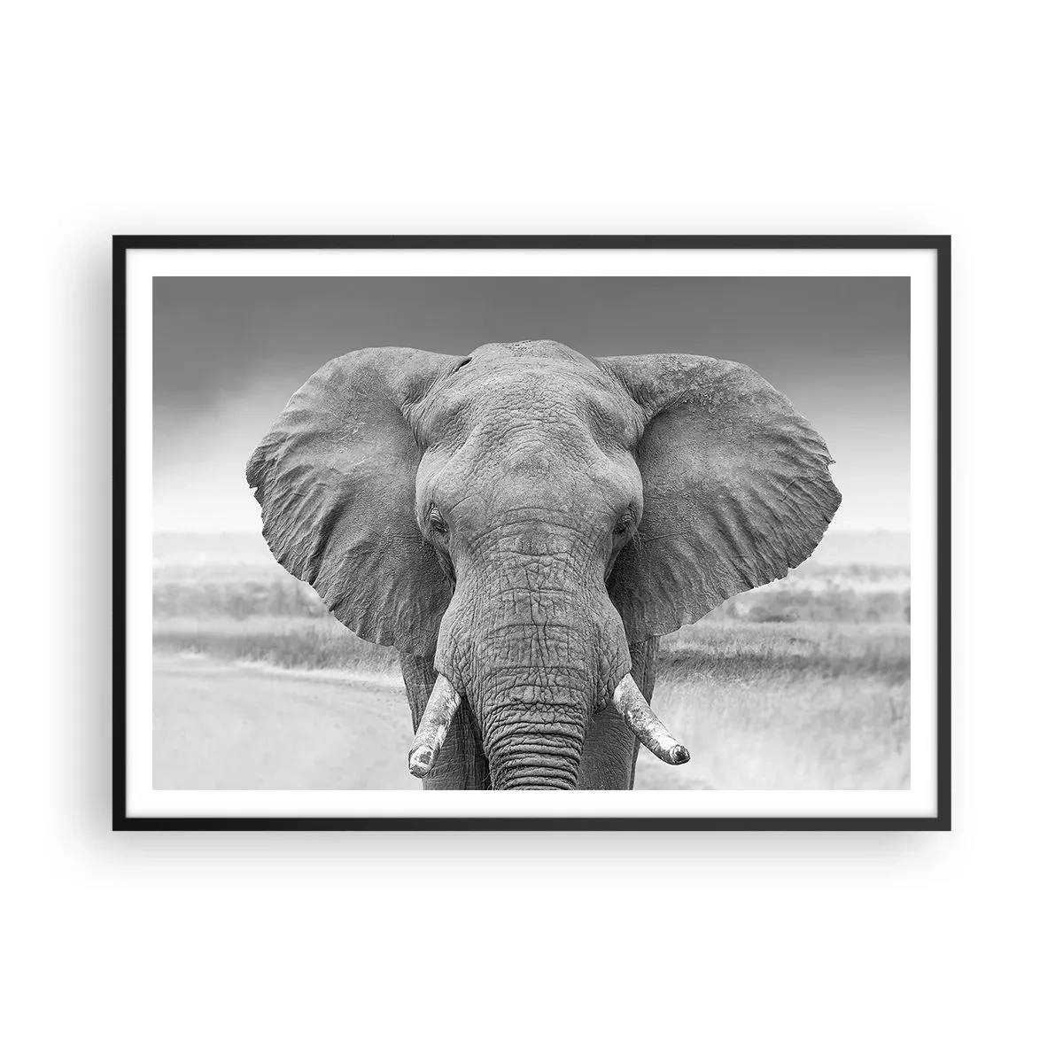 Affiche dans un cadre noir - Poster - Portrait d'un éléphant en noir et blanc - 100x70cm - Bienvenue dans mon monde - Décoration murale moderne pour le salon et la chambre ARTTOR