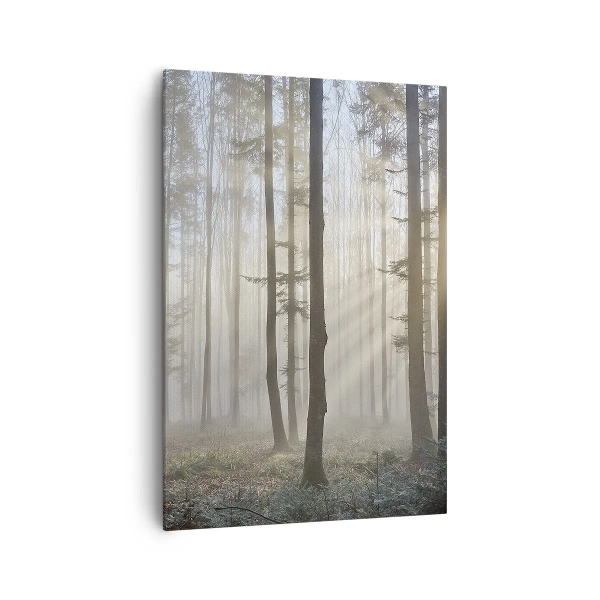 Impression sur toile - Image sur toile - Une forêt dans un léger brouillard avec des rayons de soleil qui brillent à travers les arbres - 70x100cm - Le brouillard s'est aussi réveillé - Décoration murale moderne pour le salon et la chambre ARTTOR