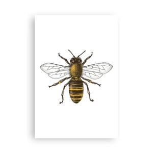 Affiche - Poster - Belle et bonne - 61x91 cm