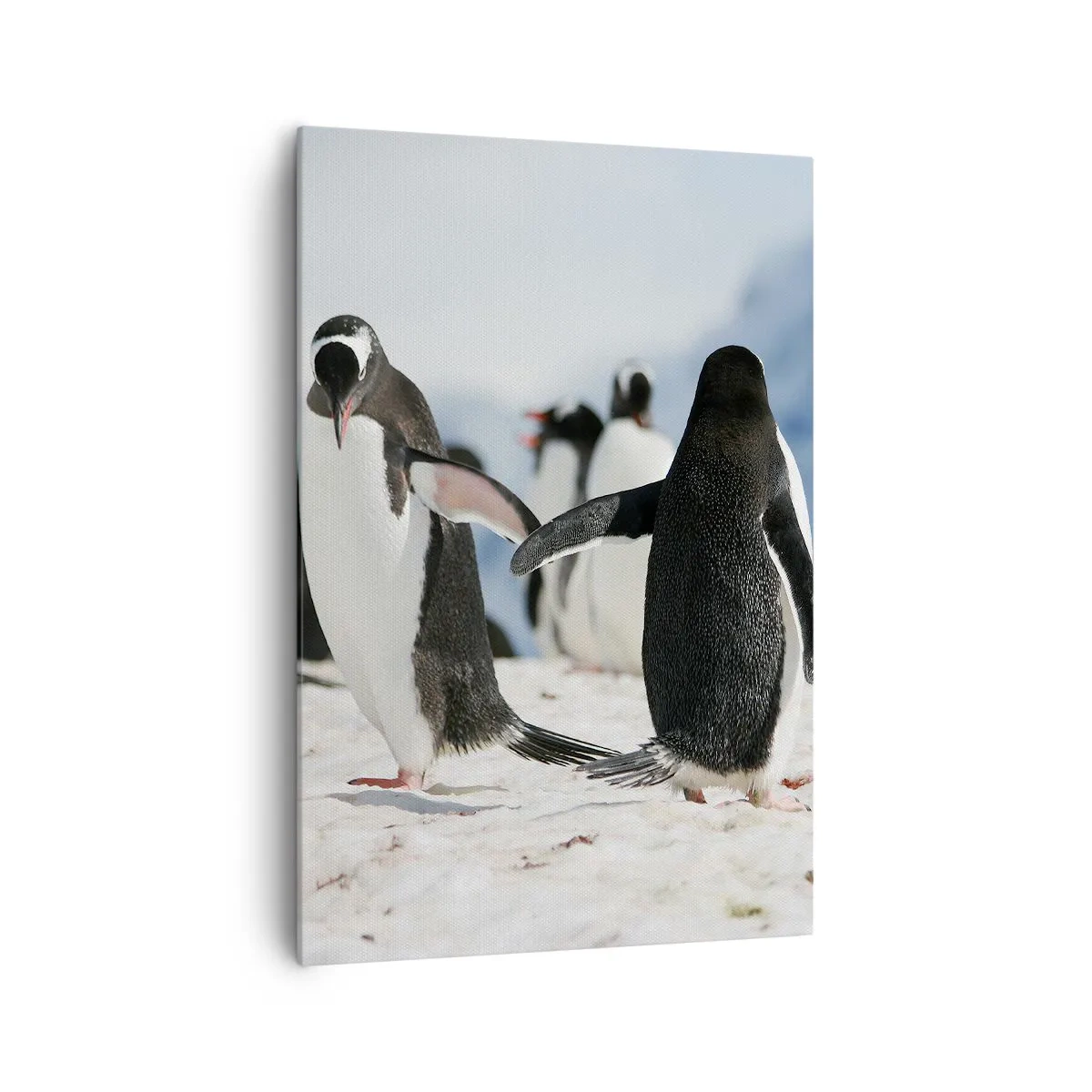 Impression sur toile - Image sur toile - Un groupe de pingouins dans la neige dans un paysage antarctique - 70x100cm - Danser dans la neige - Décoration murale moderne pour le salon et la chambre ARTTOR