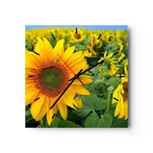 Horloge murale - Pendule murale - Un champ de tournesols aux fleurs jaunes sur fond de feuilles vertes - 30x30cm - Des centaines de soleils se sont embrasés - Décoration murale moderne pour le salon et la chambre ARTTOR