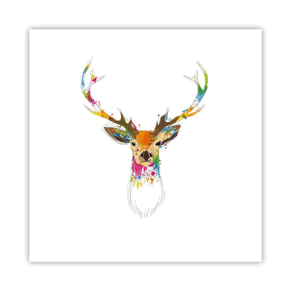 Affiche - Poster - Un cerf doux baigné de couleur - 60x60 cm